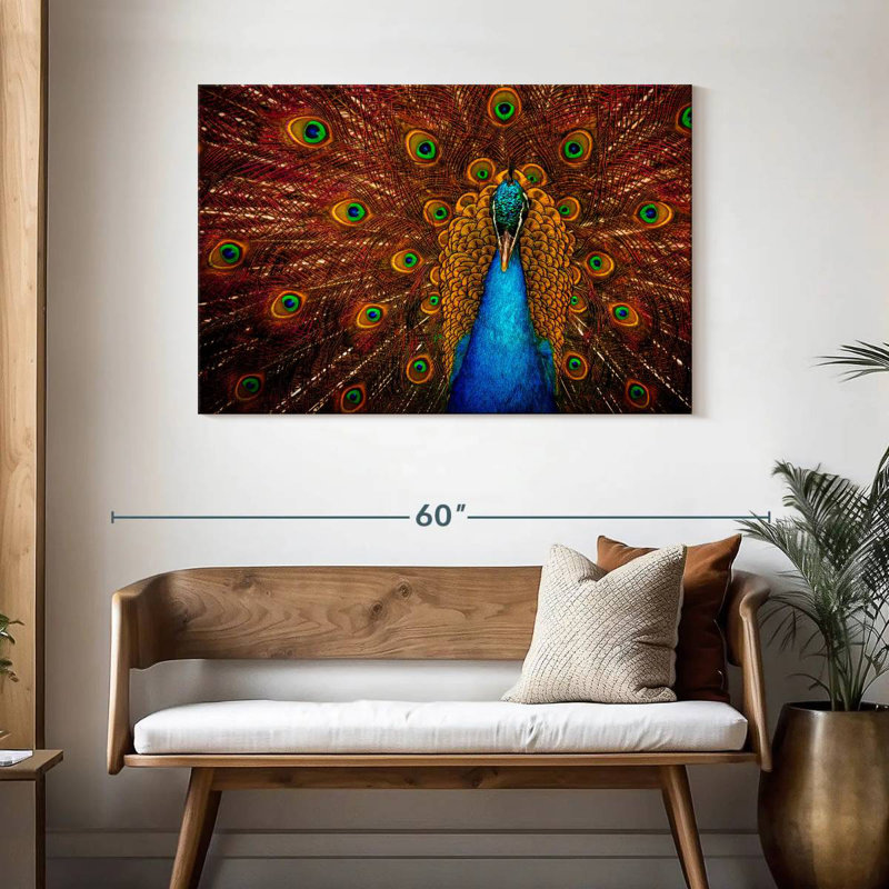 Brampt Indian Peacock