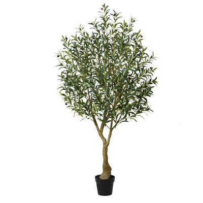 Adcock 84" Olive Tree in Pot