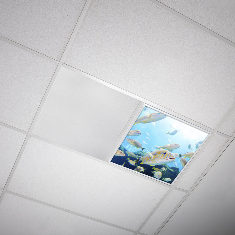 Couvre-lumière décoratif flexible océan