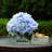 Silk Hydrangea Arrangement in Vase-113077580