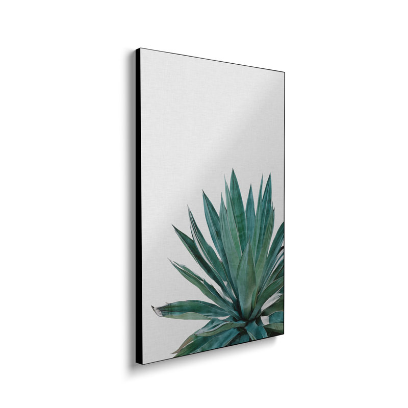 Reproduction d'art sur toile Steventix - Agave Cactus par Orara Studio