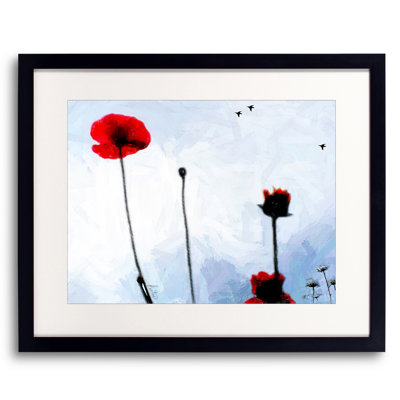 Poppies With Daisies & Crows Print by Tom Kostes
