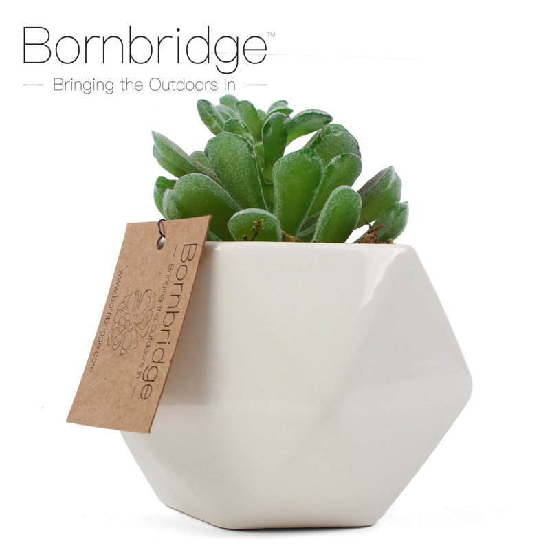 Small Green Artificial Succulent in White Geometric Ceramic Planter