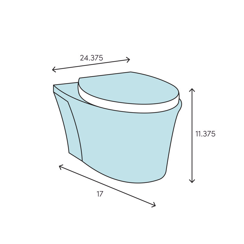 Memoirs™ 1.6 GPF Elongated One-Piece toilet (Seat Included), Black