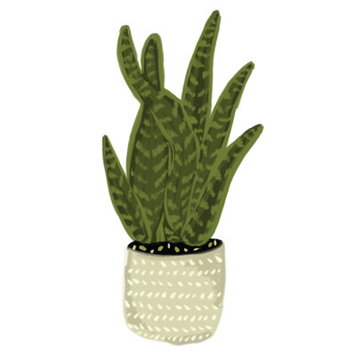 Snake Plant in Taupe Vase 1 Piece Wrapped Canvas Painting