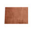 Area Rug in Rust Brown