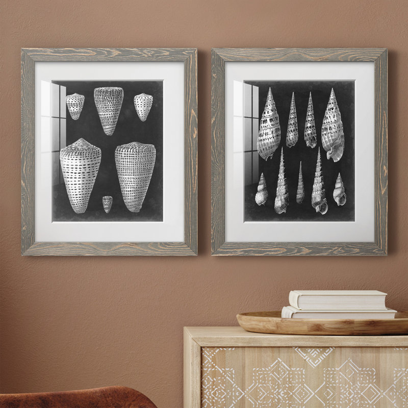 Alabaster Shells IPremium, reproduction encadrée - prête à être accrochée, H 24 po x l 36 po x P 1,5 po, Papier encadré blanc