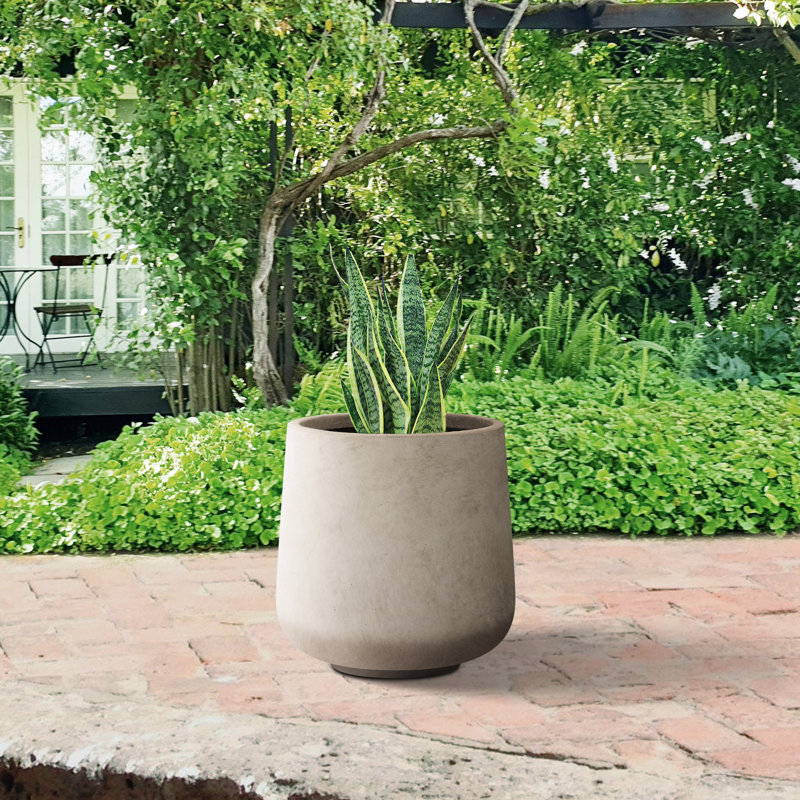 Pot à fleurs en béton Laihla, H 17,3 po x l 16,5 po x P 16,5 po, Brun