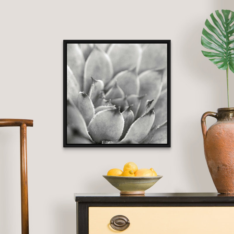«Garden Succulent I», art mural sur toile, H 20 po x l 20 po x P 1,75 po, Toile avec cadre noir
