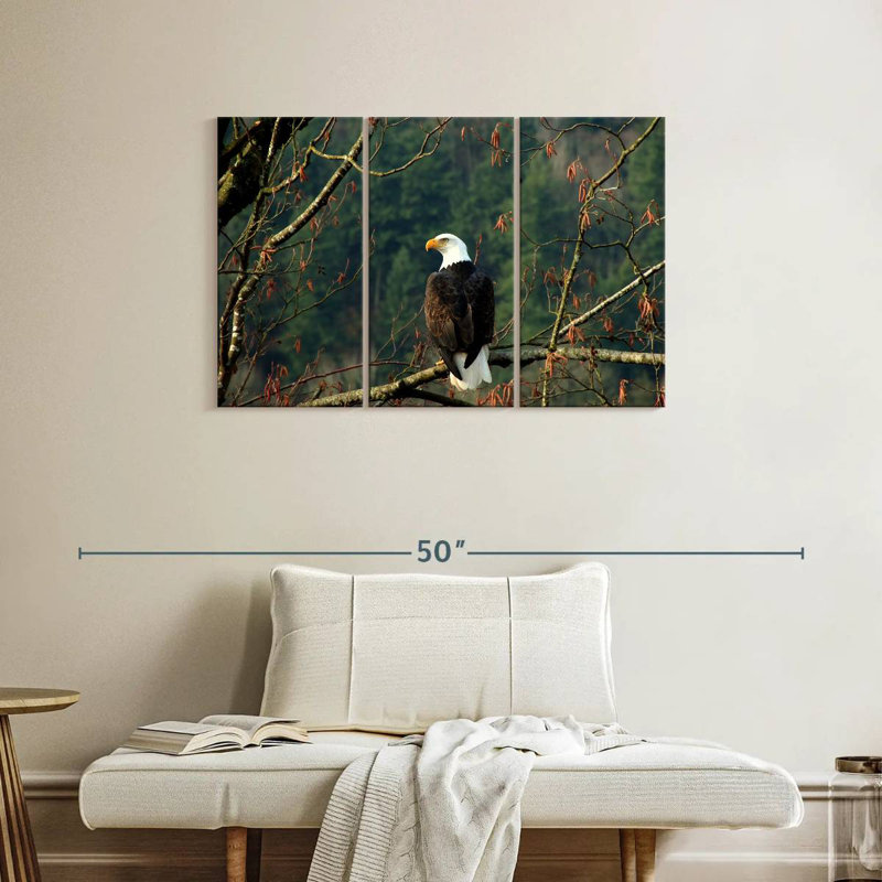 Brampt Perched Canadian Bald Eagle, 24" H x 38" W
