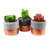 14cm Faux Succulent in Ceramic Pot