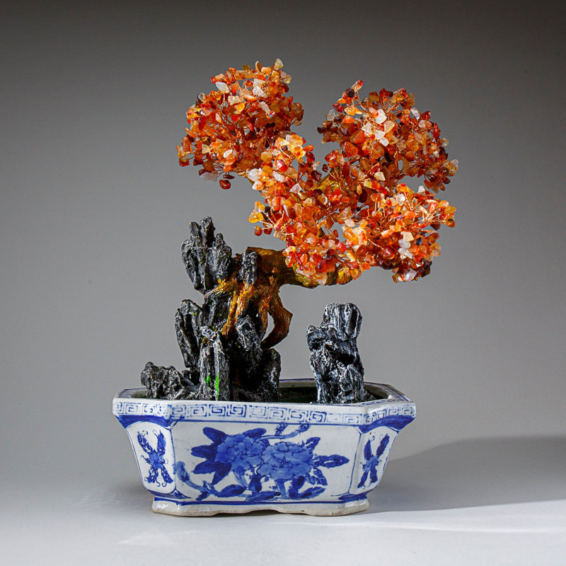 Véritable bonsaï cornaline en pot carré en céramique (13 po)