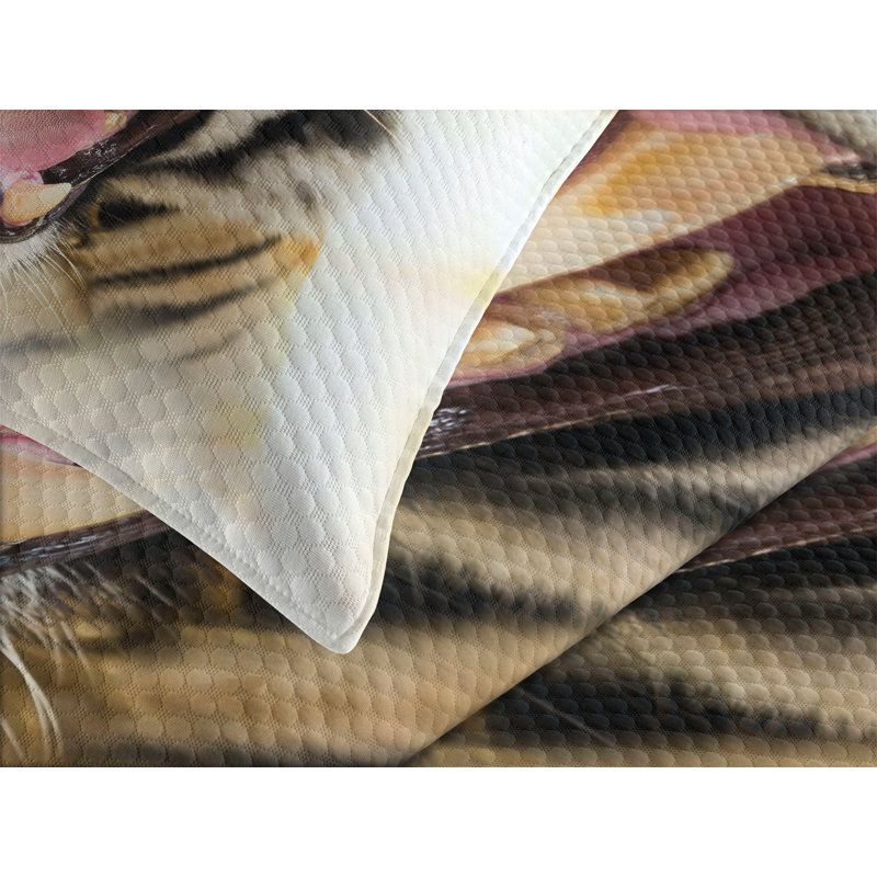 White Quilted Queen Bedspread Set with Pillow Shams