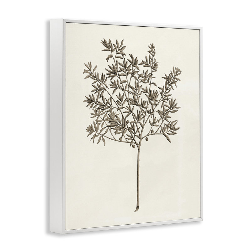 Giclée encadrée vintage, étude par Phillipa Katz, H 30 po x l 24 po, Giclée encadrée blanc bord de mer