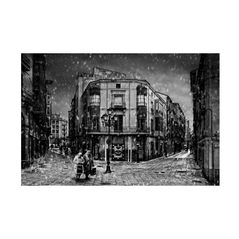 Art sur toile, bolologic Jose C. Lobato, H 12 po x l 19 po