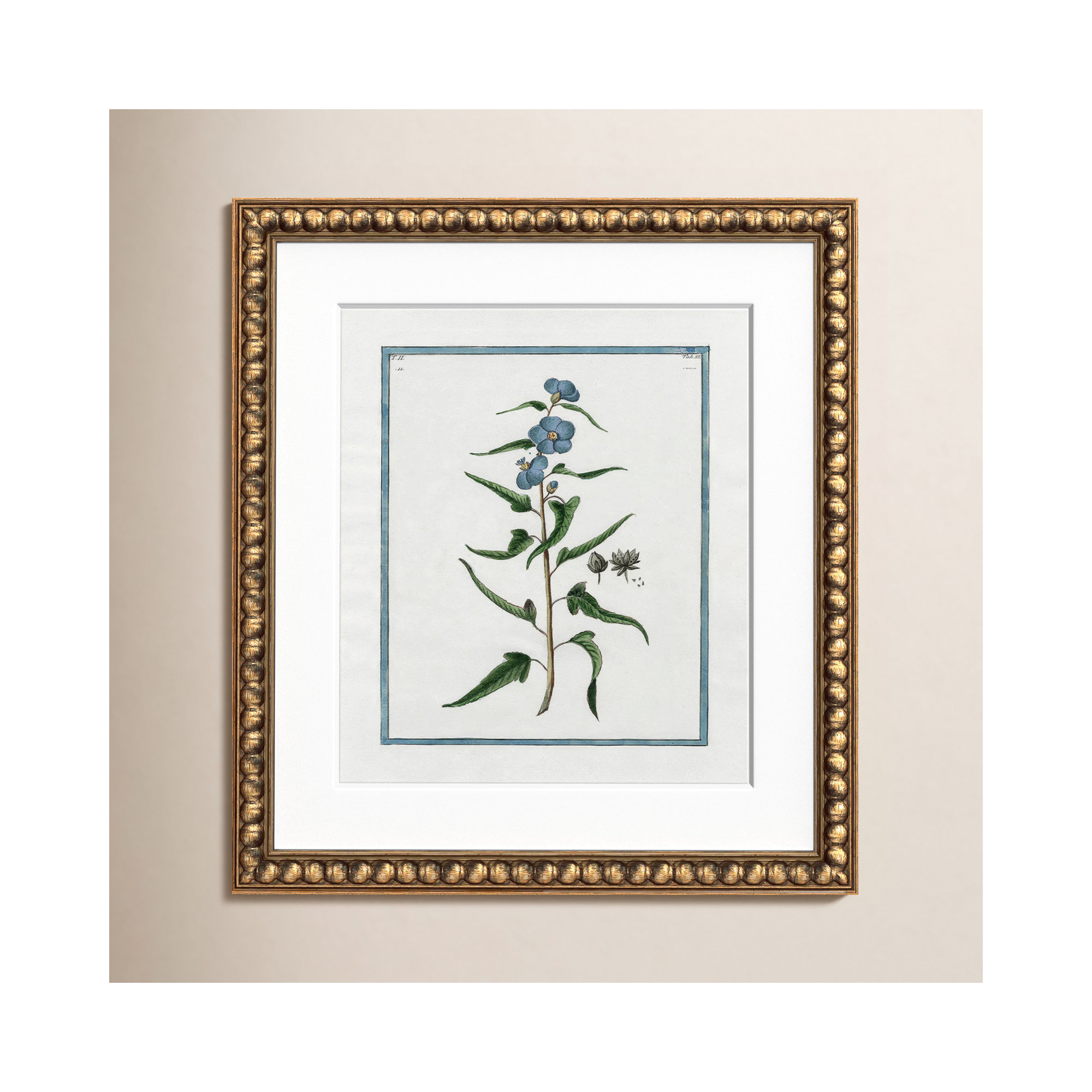 Shabby Elegance Botanical I - Framed Art Full Bleed, 14" W x 16" H, Gold Bead Framed