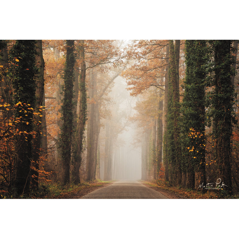 Route d'automne brumeuse, H 8 po x l 12 po, Non, Toile tendue