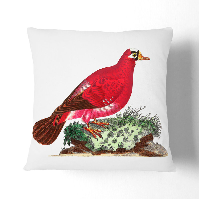 Square Throw Cushion, White, 40cm H x 40cm W x 15cm D