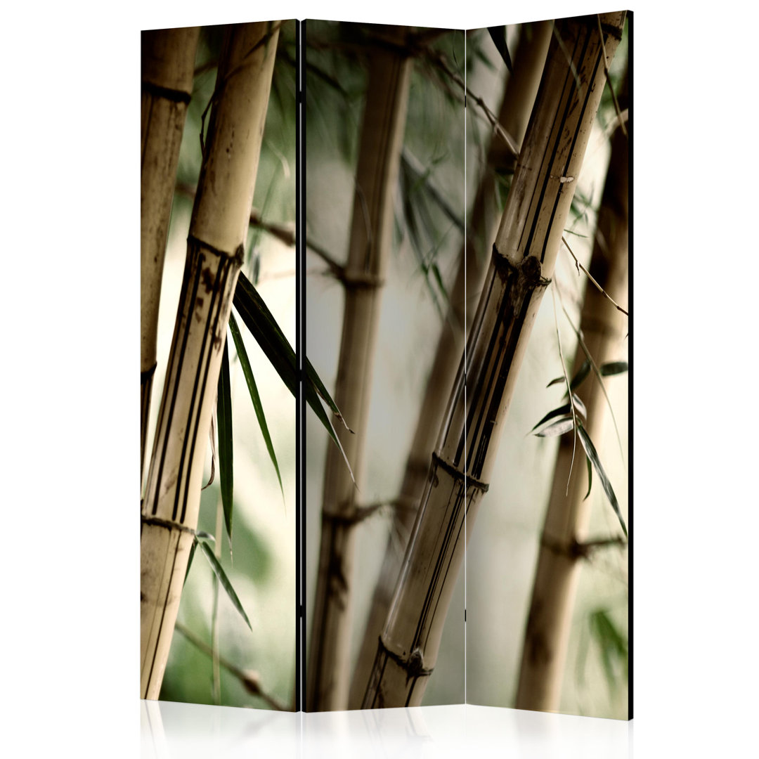 Paravent Fog And Bamboo Forest mit 3 Paneelen