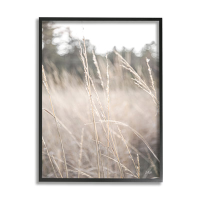 Picture Frame Photograph on MDF