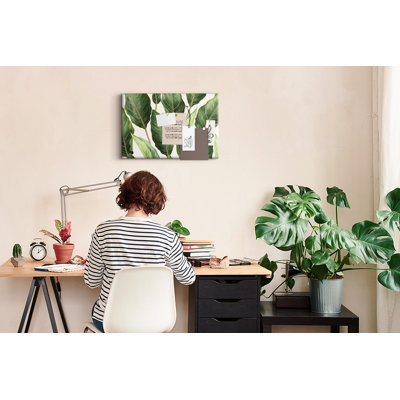 Mahveen Cork Corkboard / Bulletin Board