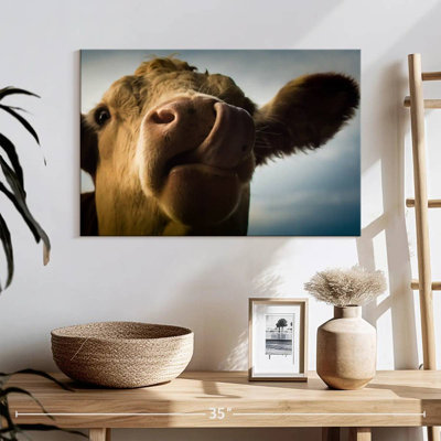Vache ridicule