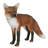 European Fox Statue