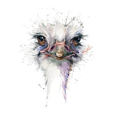 Ostrich - Single Picture Frame Painting on Canvas