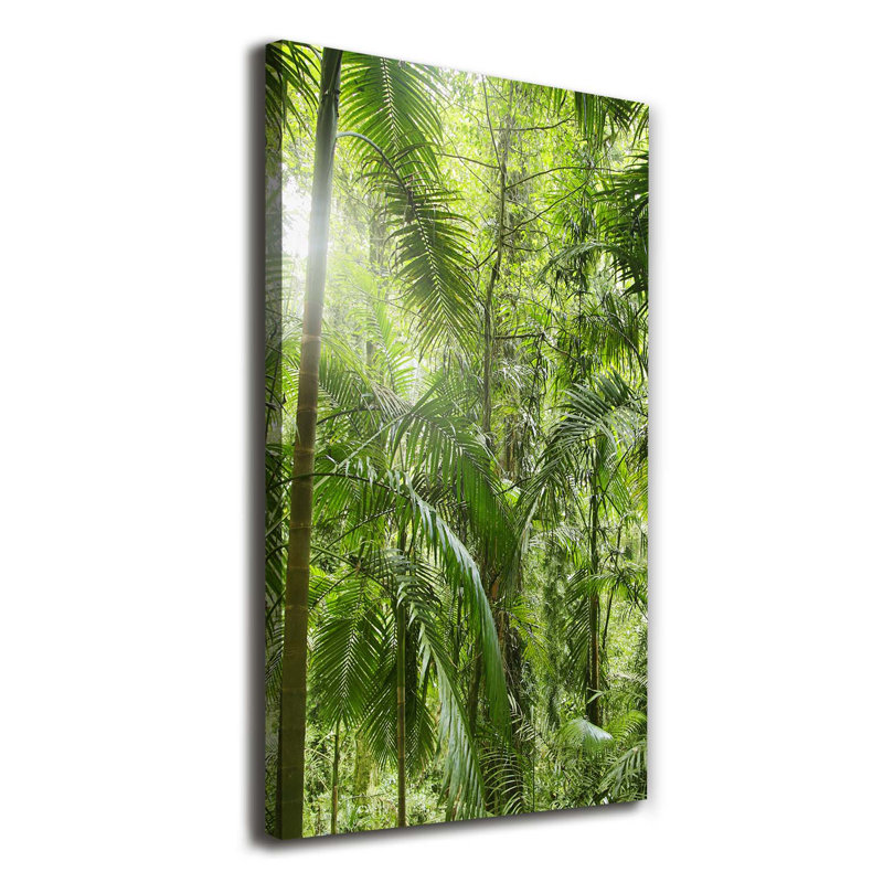 The Rainforest - Wrapped Canvas Print