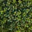 Set of 2 Artificial Triple Ball Boxwood Topiary Tree, 36in Outdoor Topiary Tree UV Resistant Fade Resistant Ground Spike Lawn Stake - for Front Porch Garden Patio Yard Decor-2037449083