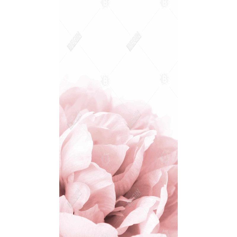 Peony flower dream - 15.75"x31.50" Desk mat