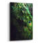 Epic Art «Peacock Tail» par Incado-378493993