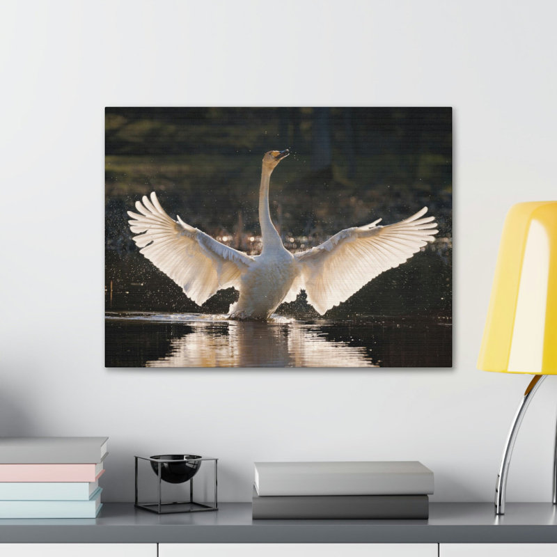 No Frame Print on Canvas, 27.94cm H x 35.56cm W
