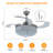 Kayetan 42'' Ceiling Fan with LED Lights