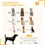 Très grande cage pour chien avec structure en métal et roulettes verrouillables, plateau facile et amovible, 45 po x 29,5 po x 35 po, pour les grands chiens