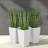 Spacious White Planters Set, Durable Polyethylene For Modern Decor