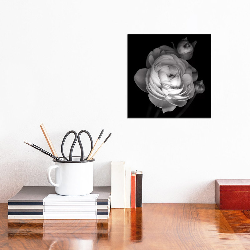 Pink Ranunculus, B&W by Magda Indigo - Wrapped Canvas Print, 30.48 cm H x 30.48 cm W