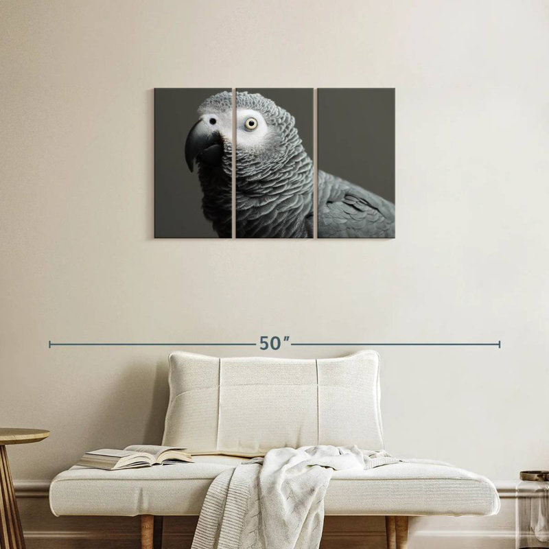 African Grey Parrot, 20" H x 33" W
