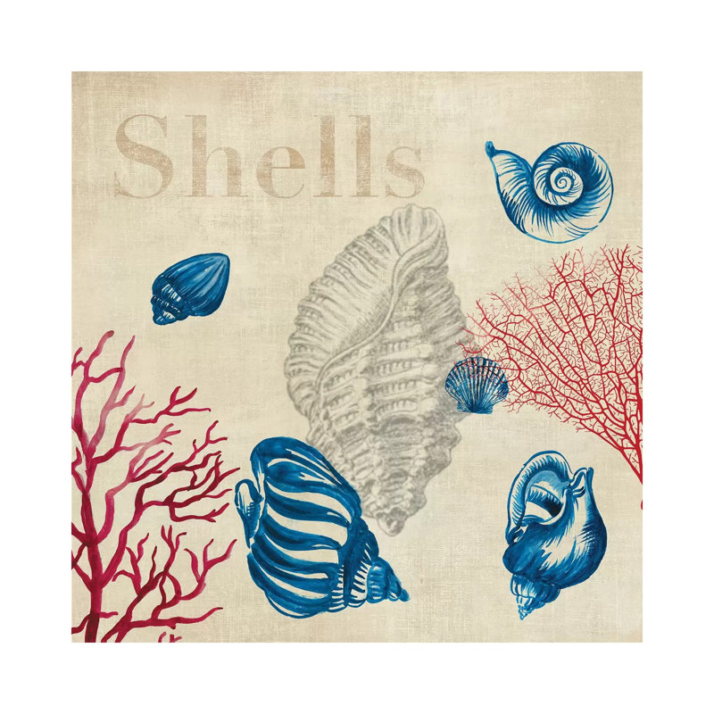 Shell Study by Aimee Wilson - Wrapped Canvas Gallery-Wrapped Canvas Giclée, 30.48 cm H x 30.48 cm W