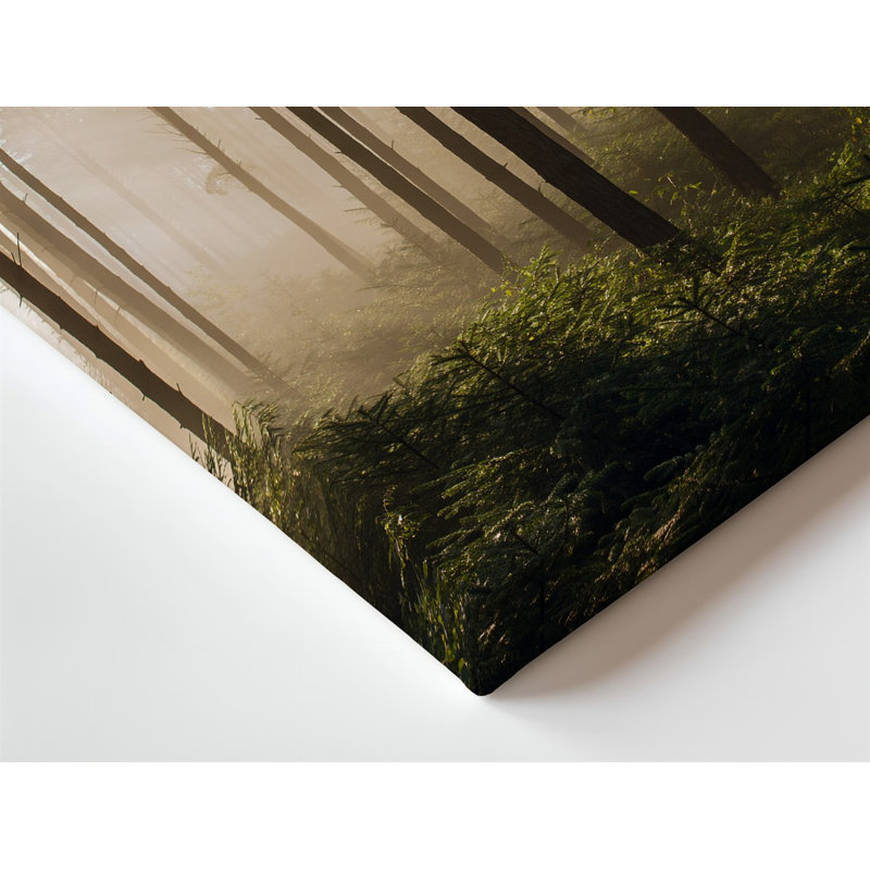 Toile «A Tranquil Forest Scene Bathed In Soft Golden Morning Light», art mural mettant en vedette de grands pins élancés avec écorce texturée