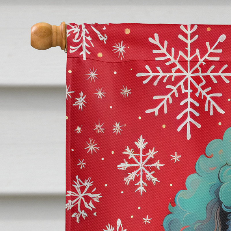 Drapeau de maison de Noël en polyester double face H 40 po x l 28 po