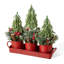 21"L Christmas Potted Triple Trees Centerpiece Or Table Tree