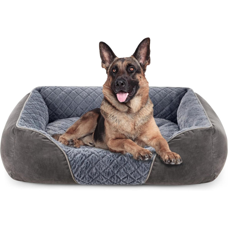 Pet Bed