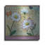  «Bellis Botanica» par Fiona Stokes-Gilbert, art mural en métal, 12 po x 12 po