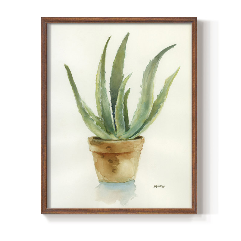 Succulent IV, reproduction encadrée - bois massif, Brun, H 28 po x l 22 po