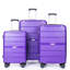 Ensemble de valises légères et durables avec serrure TSA Hardshell Valise Spinner Wheels, ensemble de 3 pièces (20/24/28), mauve
