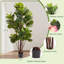 Figuier artificiel figuier - plante artificielle en pot pour la maison et le bureau-1026929446