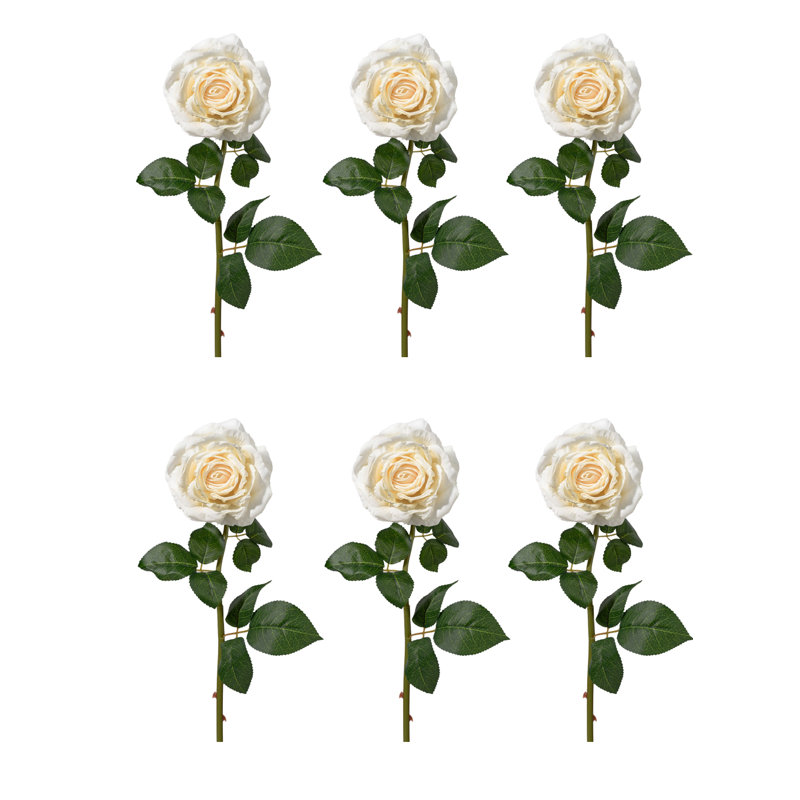 Arrangement de roses
