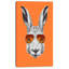 Animal avec lapin et lunettes de soleil sur toile - Lapin amusant-33311294-62599713