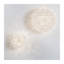 Bloom 3 - Light Flush Mounted Sconce-63930292